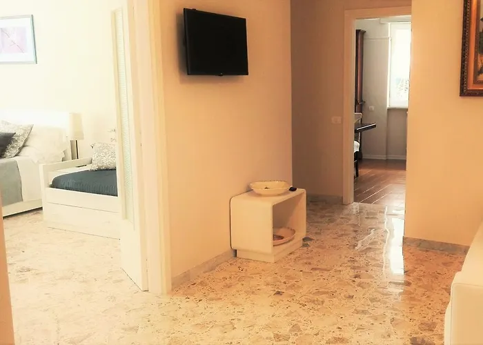 Don Andre * 소렌토